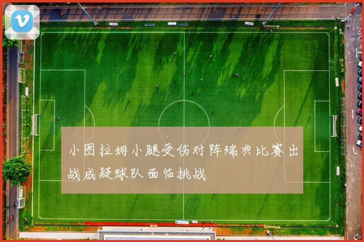 小图拉姆小腿受伤对阵瑞典比赛出战成疑球队面临挑战
