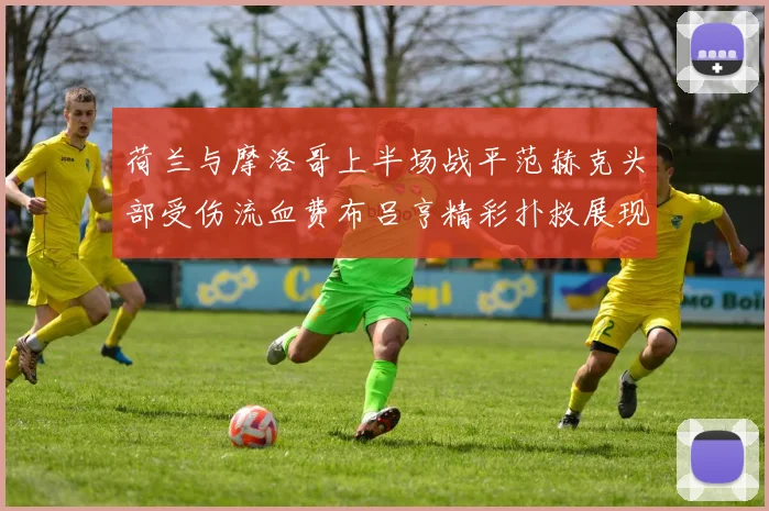 荷兰与摩洛哥上半场战平范赫克头部受伤流血费布吕亨精彩扑救展现实力